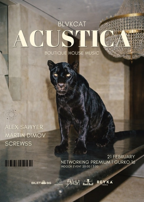 BLVKCAT pres. ACUSTICA, Networking premium, Indoor